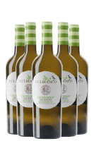 6 Bottiglie Chardonnay Culbianco Biologico 2021 Masseria Spaccafico