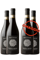 3 Bottiglie Sagrantino Di Montefalco DOCG 2016 Tenuta Fontecaime + 3 OMAGGIO