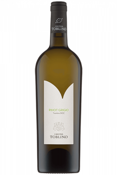 Trentino DOC Pinot Grigio Bio 2022 Cantina Toblino