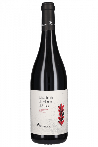 Lacrima Di Morro D'Alba Belisario 2023