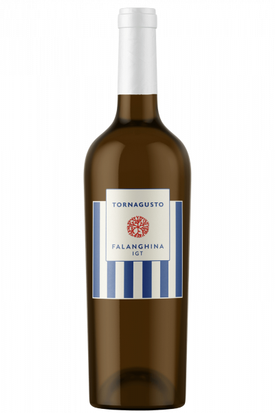 Falanghina Tornagusto 2024 