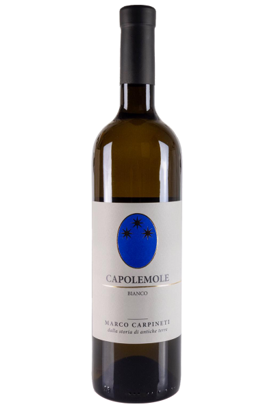 Capolemole Bianco 2023 Marco Carpineti 
