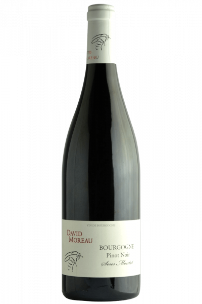 Bourgogne Pinot Noir 2020 David Moreau