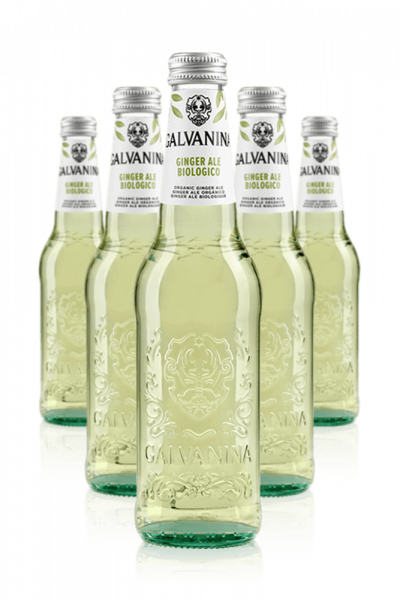 Ginger Ale Bio Galvanina Cassa da 24 bottiglie x 20cl