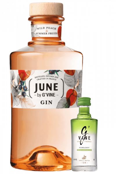 Gin June by G'Vine Wild Peach & Summer Fruits 70cl + OMAGGIO mignon Gin G'Vine Floraison