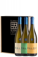 1 Ribolla Gialla 2021 + 1 Sauvignon 2021 + 1 Pinot Bianco 2020 Baloc (Cassetta in Legno)