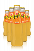 Schweppes Orange Cassa da 24 bottiglie x 18cl