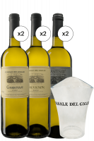 2 Chardonnay 2023 + 2 Sauvignon 2021 + 2 Antinoo 2021 Casale Del Giglio + OMAGGIO 1 Glacette Casale Del Giglio