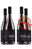 3 Bottiglie Sicilia DOC Nero D'Avola Riparo Cafici 2020 L'Ariddu + 3 OMAGGIO 