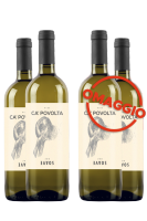 6 Bottiglie Soave DOC 2021 Ca' Povolta + 6 OMAGGIO