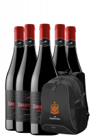 6 Bottiglie Sangre De Toro Special Selection 2021 Torres + OMAGGIO 1 zaino Torres