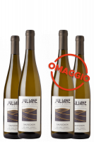3 Bottiglie Alto Adige DOC Sauvignon 2020 Juliane + 3 OMAGGIO