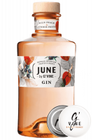 Gin June by G'Vine Wild Peach & Summer Fruits 70cl + OMAGGIO 1 apribottiglie G'Vine